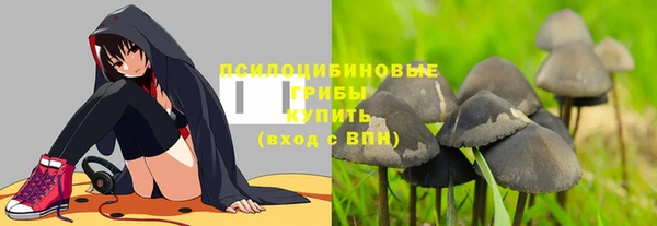 дмт Козловка